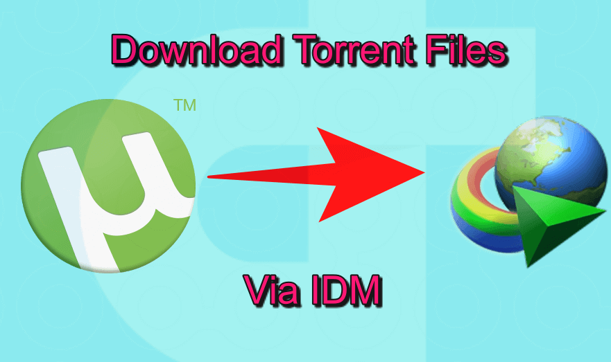 idm torrent link